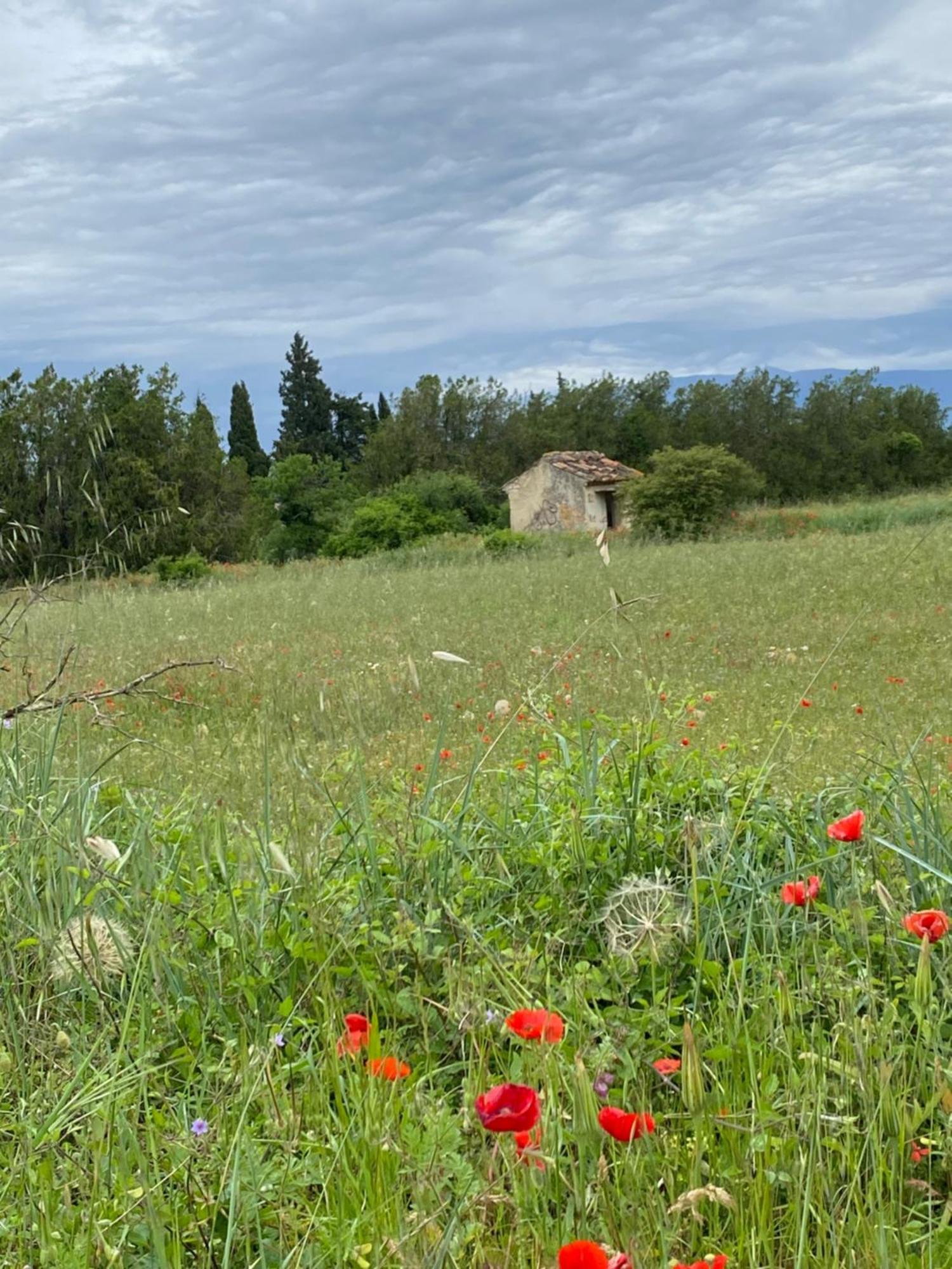 Inspiration Maison Entiere Avec Jardin Pernes-les-Fontaines Exterior foto
